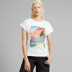 Dedicated Visby Sucker Sunset T-Shirt
