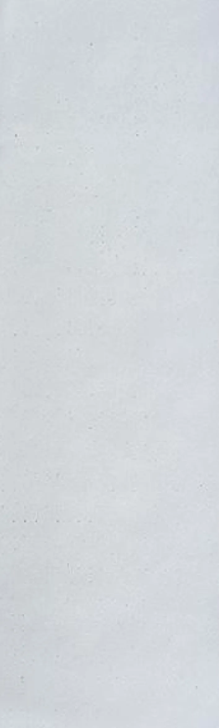Globe Perforated Griptape 9" Klar