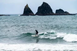 Lib Tech Pickup Stick Surfbrett 7'0