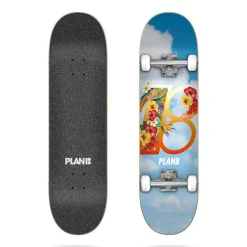 Plan B Hawaii Komplett-Skateboard 8.25