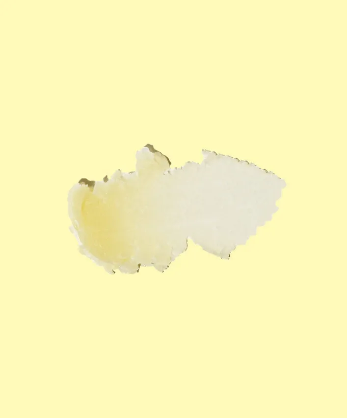 Sun Bum CocoBalm Feuchtigkeitsspendender Lippenbalsam Ocean Mint