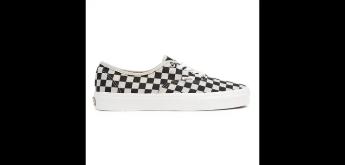 Vans Eco Theory Authentic Schuh