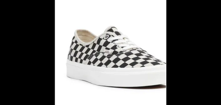 Vans Eco Theory Authentic Schuh