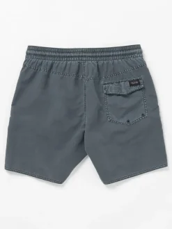 Volcom Center Trunk Shorts