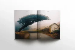 WAVES AND WOODS - Ausgabe 39