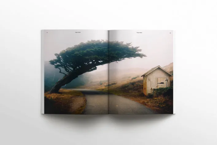 WAVES AND WOODS - Ausgabe 39